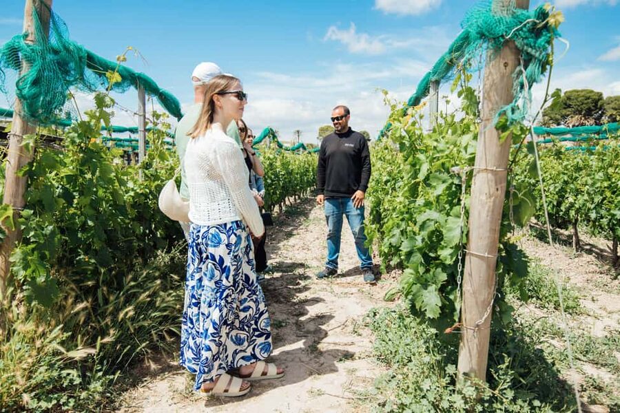 Alicante: Countryside Wine Tour with 4 Tastings - Walking through a family-run vineyard