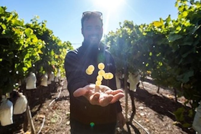 Alicante: Small-Group Countryside Wine Tour with 4 Tastings - Key points to know before booking
