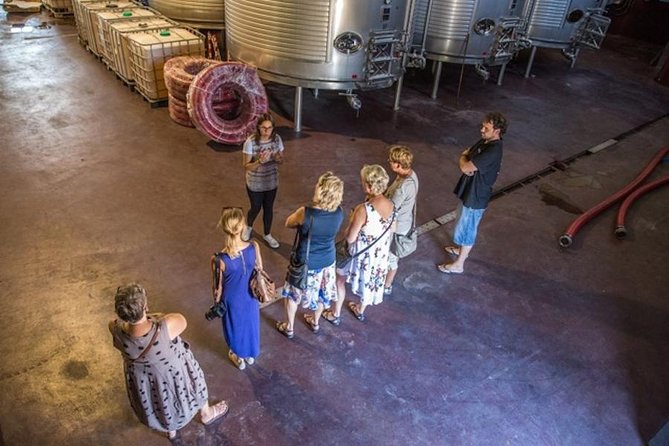 Alicante: Small-Group Countryside Wine Tour with 4 Tastings - Leaving Alicante for the Vinalopó wine country