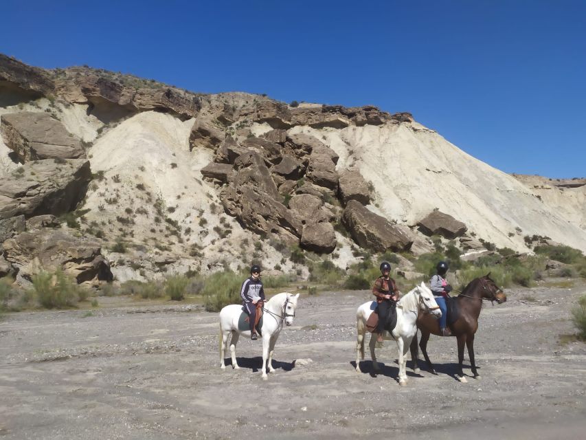 Almeria: Horse Riding Tour Through the Tabernas Desert - Key points to know before booking