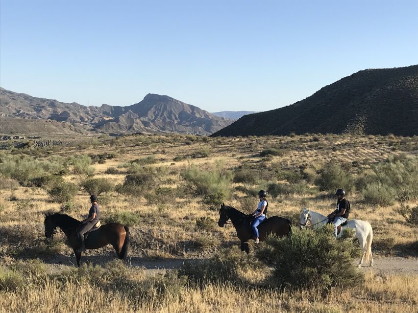 Almeria: Horse Riding Tour Through the Tabernas Desert - Is $53 good value?