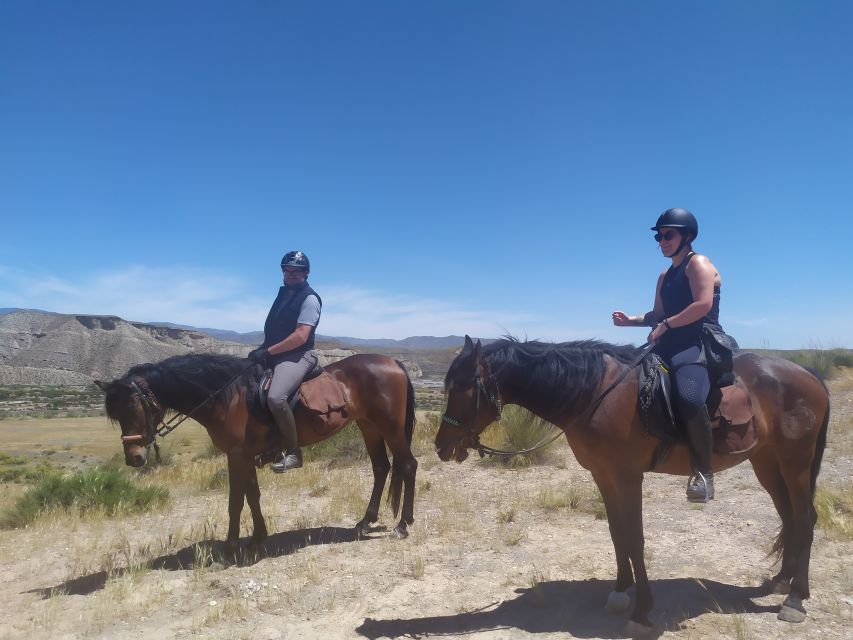 Almeria: Horse Riding Tour Through the Tabernas Desert - Who should book this horse ride?