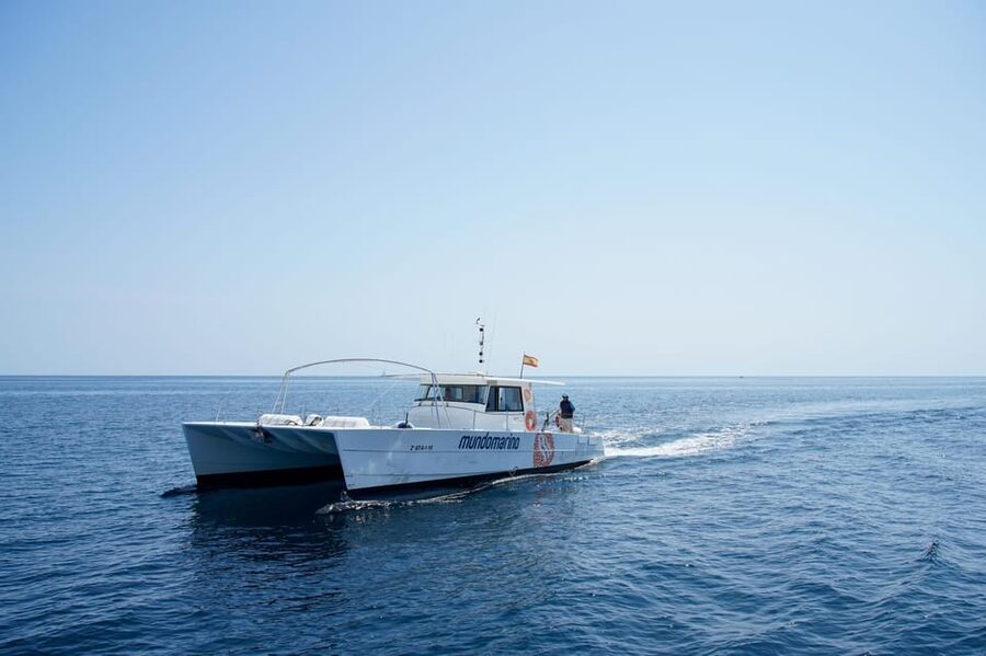Altea: Catamaran Tour with Sunset Option - Who will enjoy this Altea cruise most?