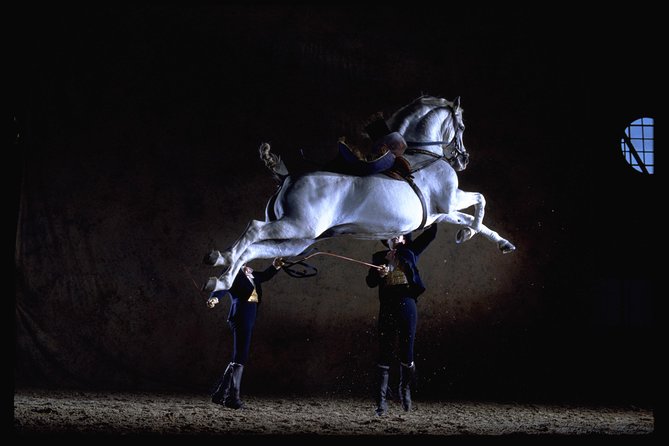Andalusian Horses Dance Show - Key points to know before you go