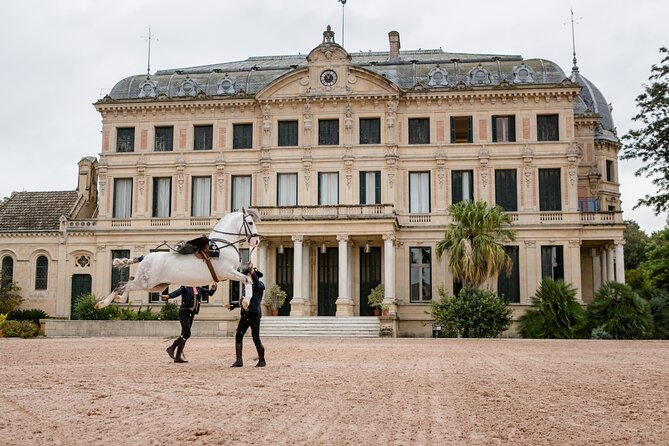 Andalusian Horses Dance Show - What the Andalusian Horses Dance Show is really like