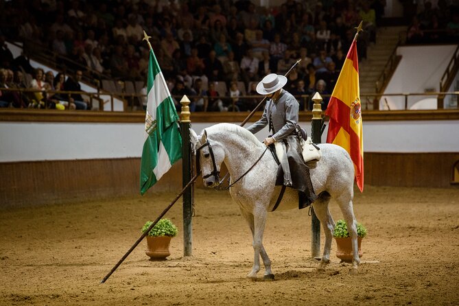 Andalusian Horses Dance Show - Classical dressage with music and precision