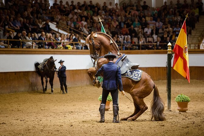 Andalusian Horses Dance Show - Doma vaquera: riding shaped by cattle work