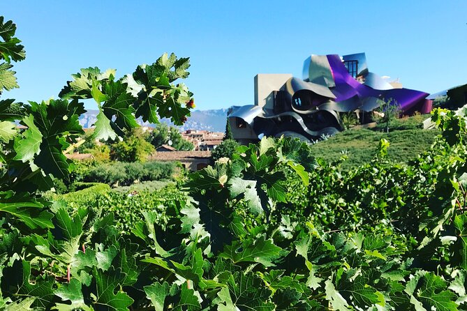 Architectural Rioja Small Group Wine Tour with Lunch from Bilbao - Laguardia: tapas inside a medieval village