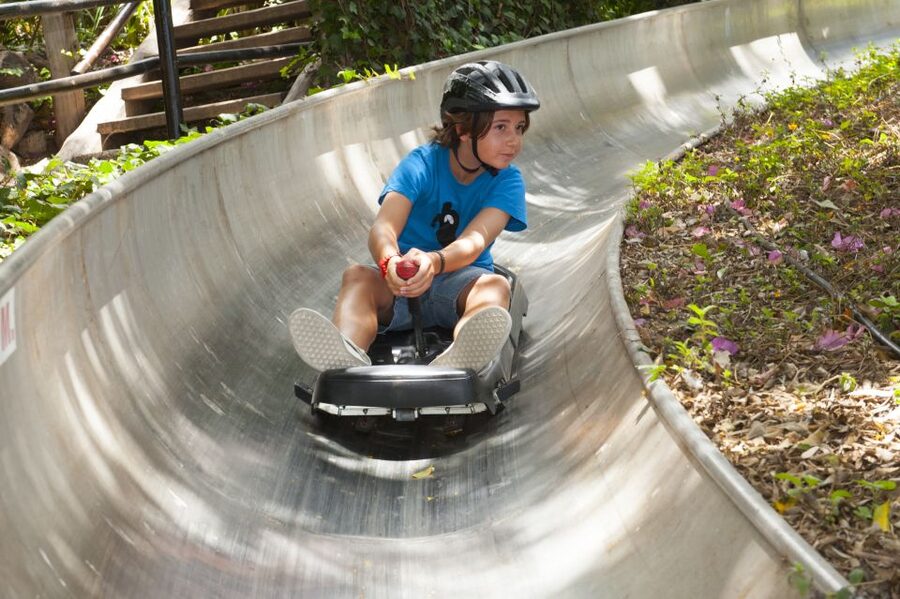 Arona: Entry Ticket to Tenerife's Jungle Park Zoo - Key points at a glance