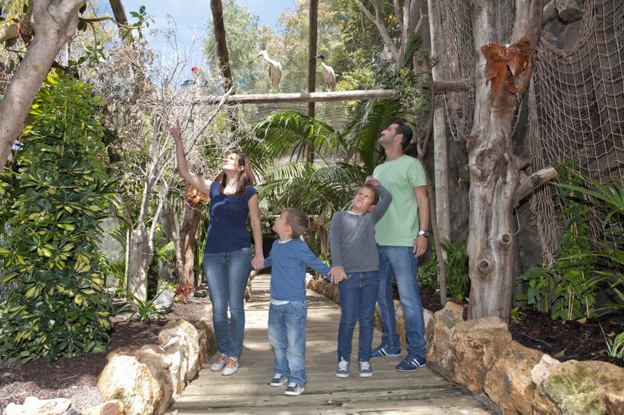 Arona: Entry Ticket to Tenerife's Jungle Park Zoo - Why Jungle Park feels different from a standard zoo