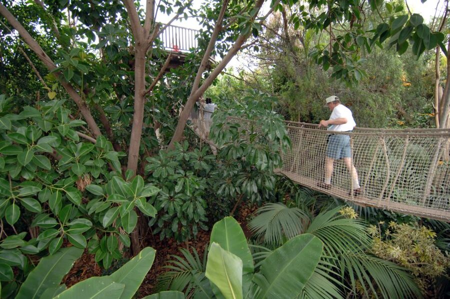 Arona: Entry Ticket to Tenerife's Jungle Park Zoo - Start early for the best run of activities