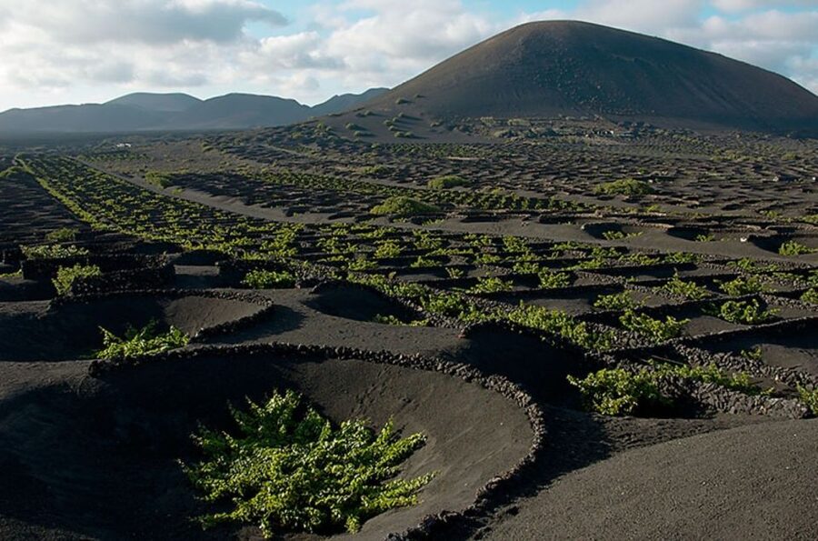 Arrecife/Playa Blanca: Timanfaya National Park Area Day Tour - Why Timanfaya deserves a full day