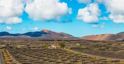 Arrecife: Timanfaya and Green Lagoon for Cruise Passengers