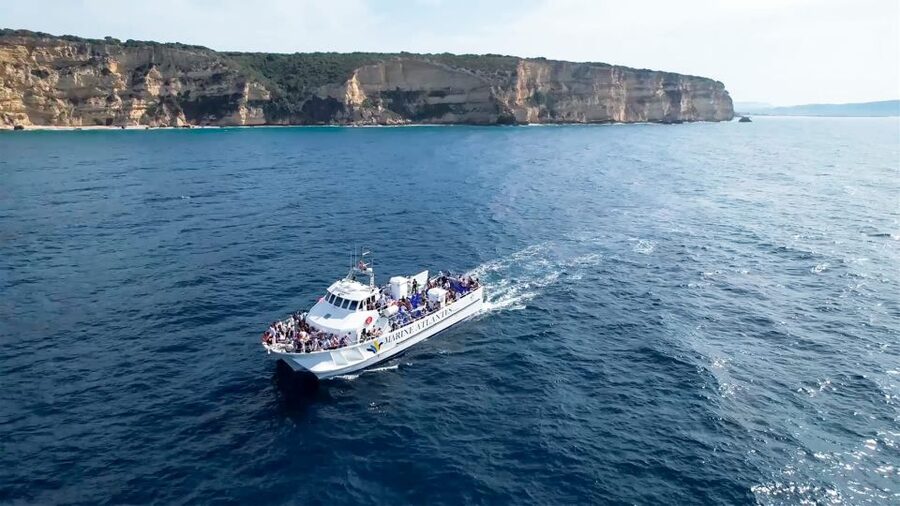 Barbate: Dolphin and Whale Watching in Cape Trafalgar - Setting Out From Barbate Marina
