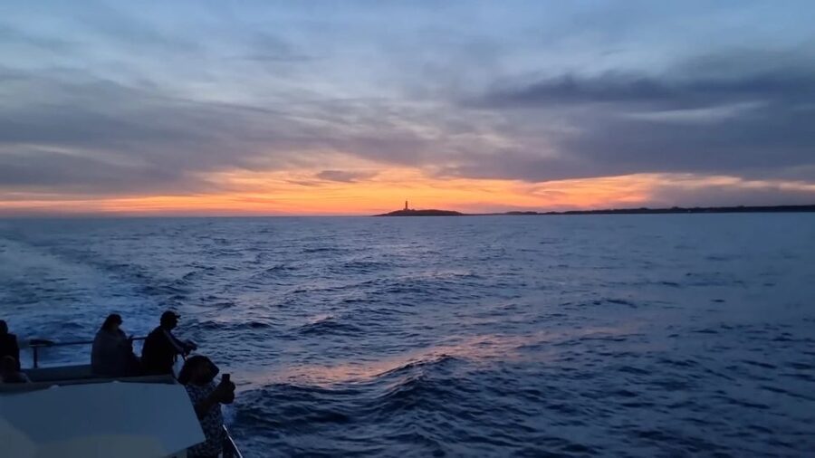 Barbate: Sunset Cruise with Glass of Cava - Key points to know before you book