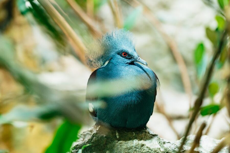 Barcelona: 1-Day Ticket to Barcelona Zoo - Key Points for Planning Your Zoo Day