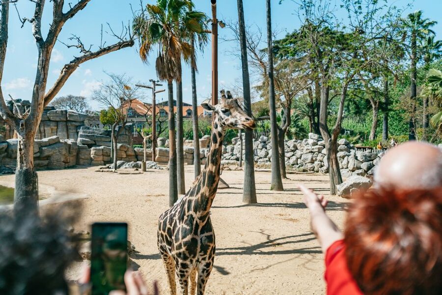 Barcelona: 1-Day Ticket to Barcelona Zoo - Who Will Enjoy Barcelona Zoo Most?
