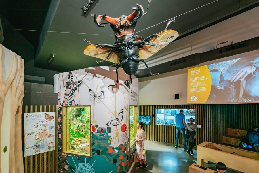 Barcelona: 1-Day Ticket to Barcelona Zoo - The Animals Worth Making Time For