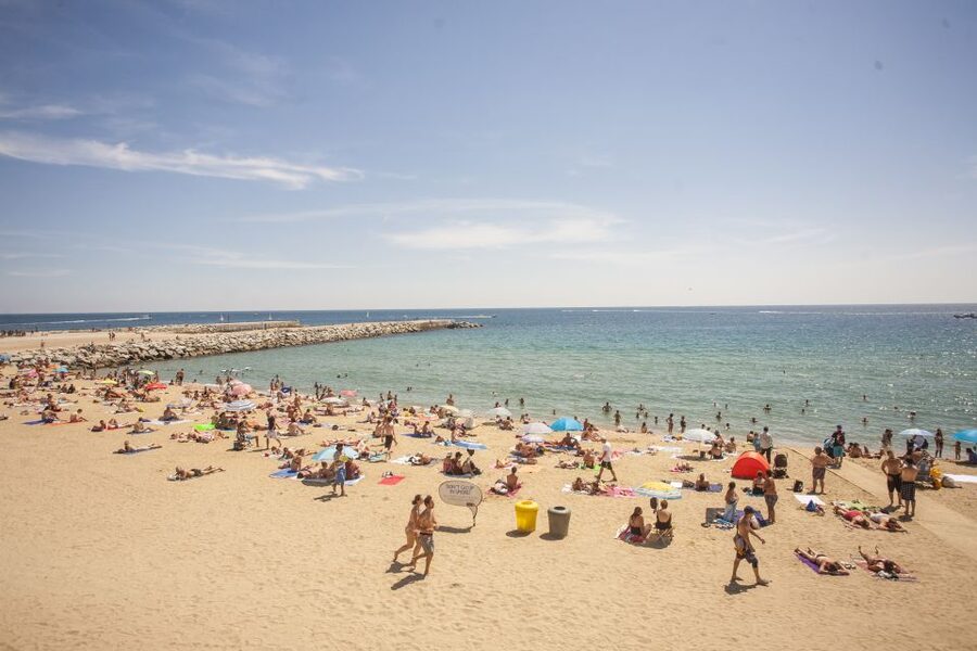 Barcelona: 2-Hour City Sights Guided Segway Tour - Olympic Port and Barcelona after 1992