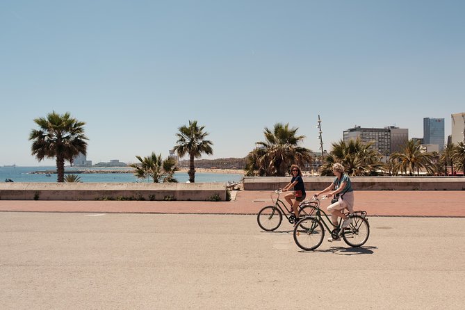 Barcelona 3-hour Bike or E-Bike Tour: Highlights and Hidden Gems - Start in Plaça Reial, then enter old Barcelona