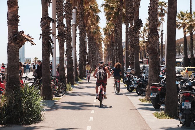 Barcelona 3-hour Bike or E-Bike Tour: Highlights and Hidden Gems - A welcome pause in Parc de la Ciutadella