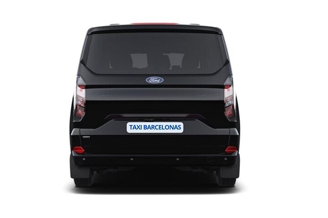 Barcelona Airport Private Arrival Transfer - Inside the vehicle: private, practical, and variable
