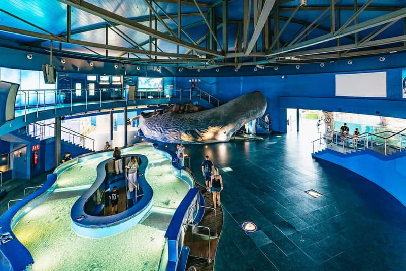 Barcelona Aquarium: Entry Ticket - My verdict: book it for the tunnel and the family-friendly pacing