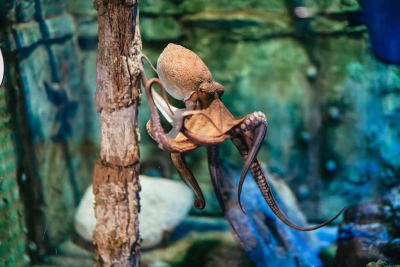 Barcelona Aquarium: Entry Ticket - The Port Vell setting makes a useful half-day stop