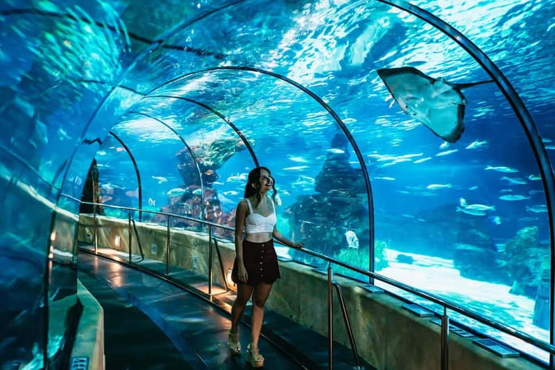 Barcelona Aquarium: Entry Ticket - The Oceanarium tunnel is the clear highlight