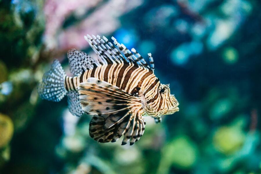 Barcelona Aquarium: Entry Ticket - Planeta Aqua gives children a reason to keep exploring