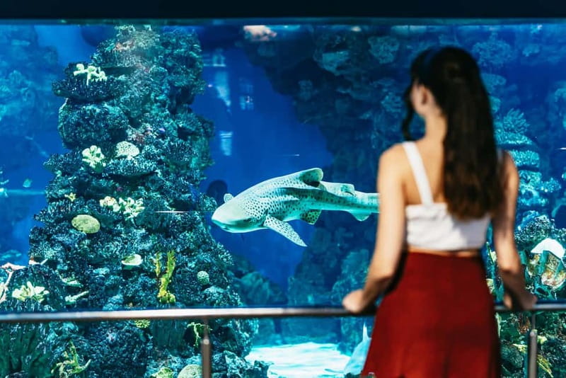 Barcelona Aquarium: Entry Ticket - How long to stay and when to arrive