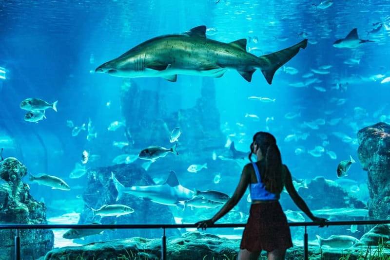 Barcelona Aquarium: Entry Ticket - Family comfort, strollers, and accessibility