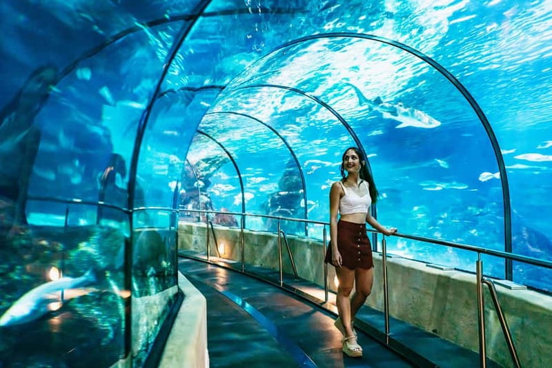 Barcelona Aquarium: Entry Ticket - Who will enjoy this aquarium most?