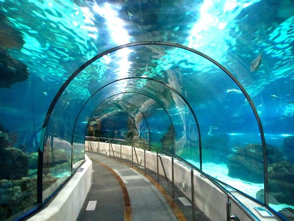 Barcelona Aquarium Skip the Line Ticket - Key points to know before you go