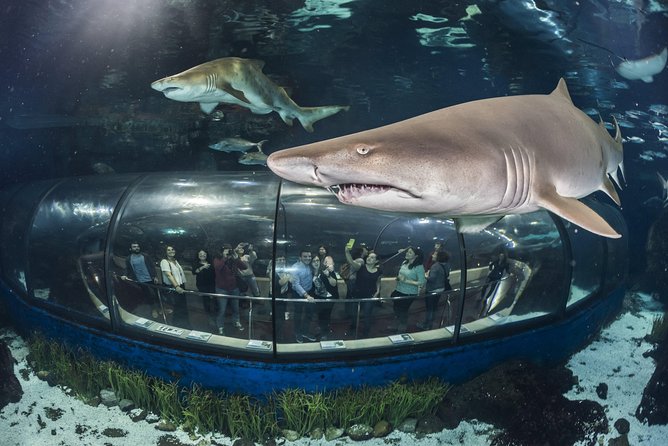 Barcelona Aquarium Skip the Line Ticket - Arriving at Barcelona Aquarium in Port Vell