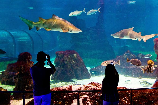 Barcelona Aquarium Skip the Line Ticket - Is $38.44 a fair price?
