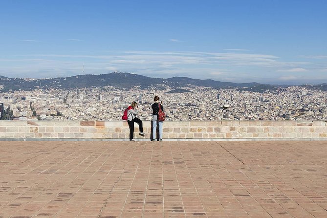 Barcelona Best Views: Old Town, Cable Car and Montjuic Castle - Olympic Barcelona and the Joan Miró stop