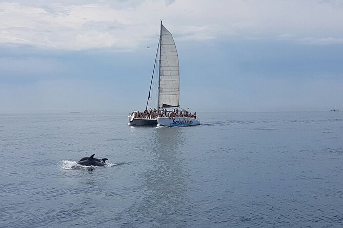 Barcelona Catamaran Party Tour For Young People - Weather, comfort, and practical preparation