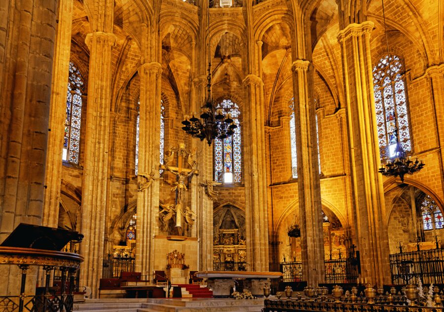 Barcelona Cathedral: Ticket, Guided Tour and VR Experience - The rooftop terraces and Barcelona views