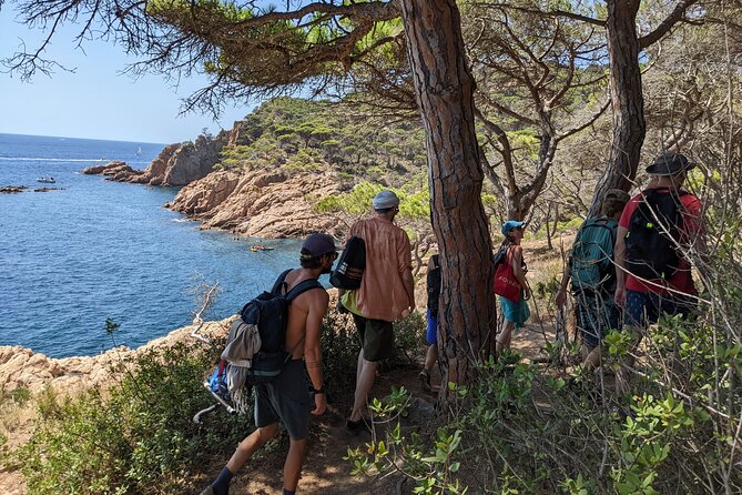 Barcelona: Costa Brava Easy Hike, Snorkel, Cliff-Jump & Meal - Sant Pol and the colorful beach huts