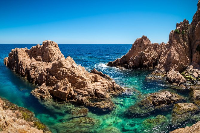 Barcelona: Costa Brava Easy Hike, Snorkel, Cliff-Jump & Meal - Snorkeling in protected coastal water