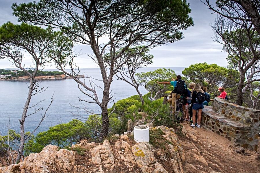 Barcelona: Costa Brava Hiking, Sea Kayaking & Lagoon Dipping - The 75-minute ride from Plaça de Catalunya