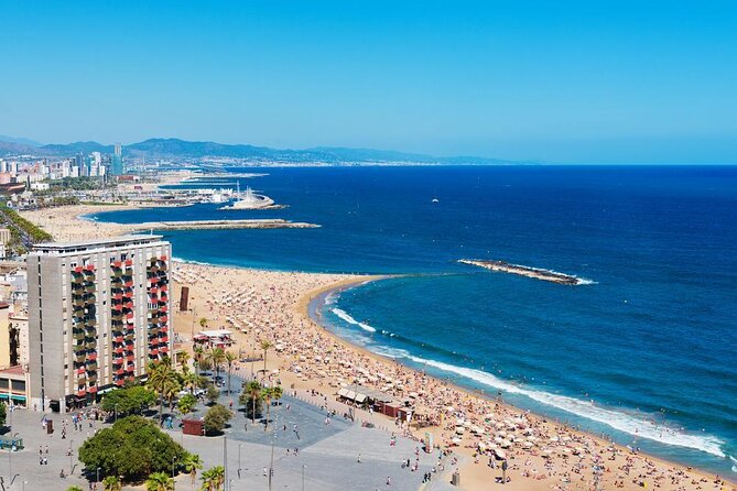 Barcelona eBike Beach Private Tour to Vineyards & Picnic - Key points at a glance