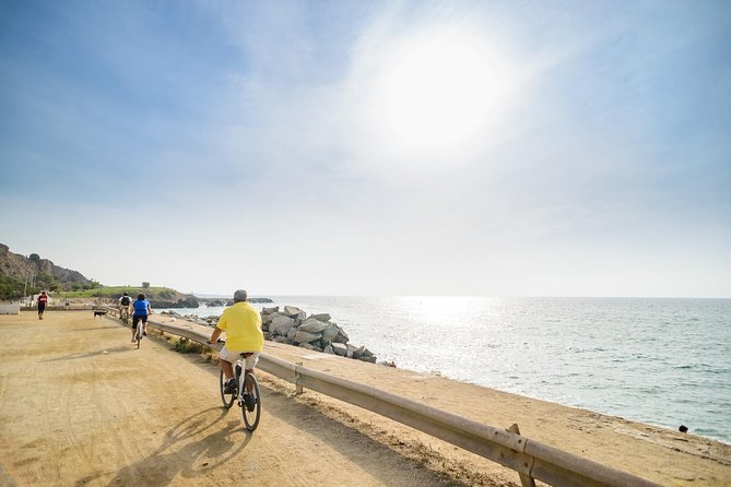 Barcelona eBike Beach Private Tour to Vineyards & Picnic - The train ride back is convenient, not effortless