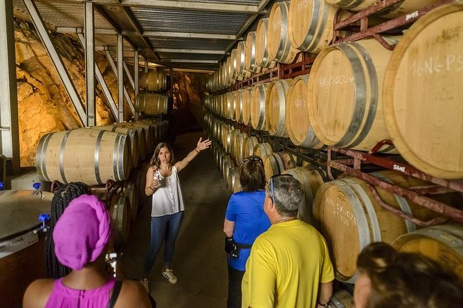 Barcelona eBike Beach Private Tour to Vineyards & Picnic - Guide quality shapes the whole day