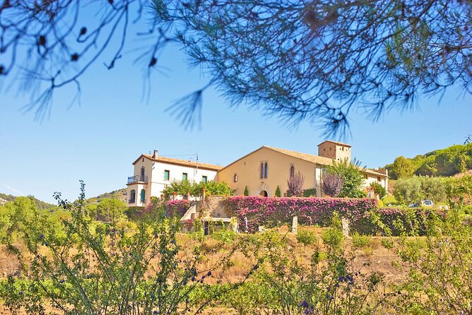 Barcelona eBike Beach Private Tour to Vineyards & Picnic - Price, value, and who should book