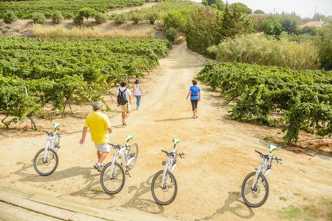 Barcelona eBike Beach Private Tour to Vineyards & Picnic - Booking tips that can prevent surprises