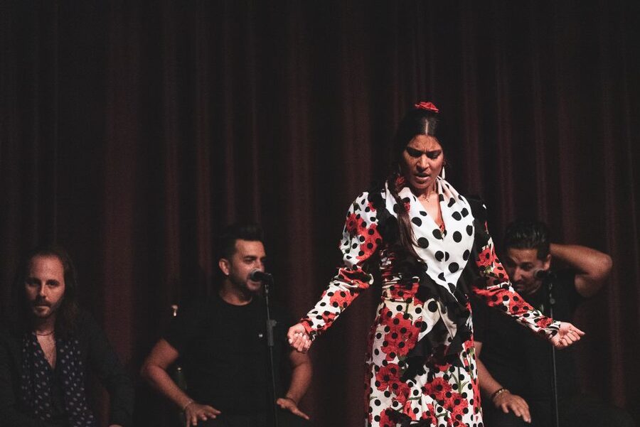 Barcelona: Flamenco Show at Palau Dalmases - The drink and the lack of food