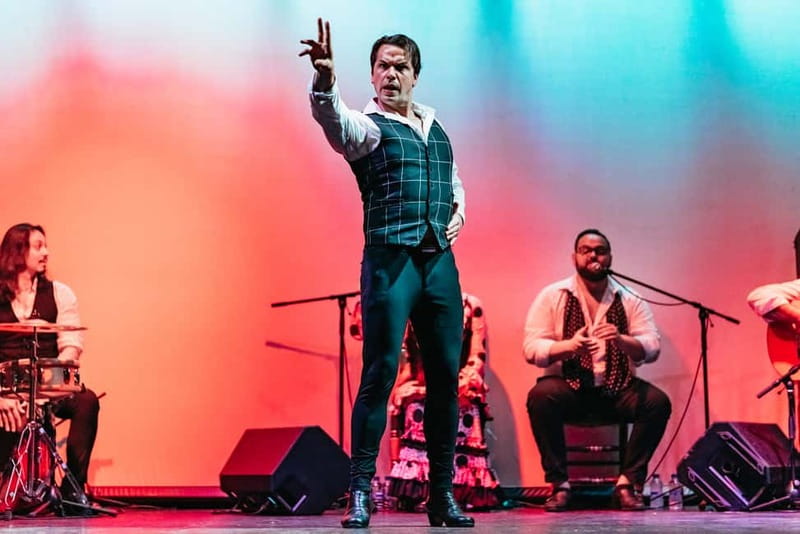 Barcelona: Flamenco Show at the Theater - What the one-hour flamenco show feels like