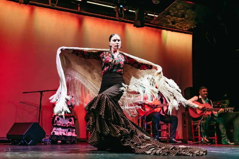 Barcelona: Flamenco Show at the Theater - What $28 gets you